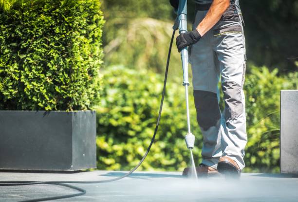 Best Patio and Deck Pressure Washing  in Lake City, AR